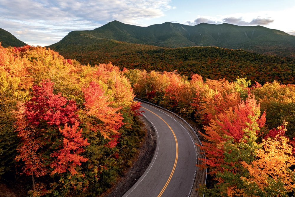 Fall Foliage Without the Walking: Easy-Access Scenic Spots in Western MA